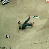 David
