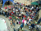 Crowd