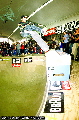 David Martelleur