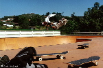 Renato Cupim