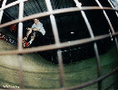 Franzi, Skater's Palace Muenster