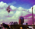 BMX riders went crazy...