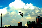 Tony Hawk
