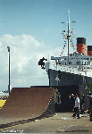 Queen Mary and skater