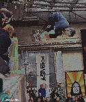 Tony Hawk - Chris-Pics.com