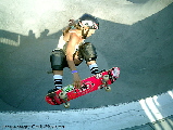 Holly