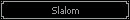 Slalom