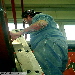 BowlBash Hamburg 06