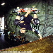 Halfpipe Horror Rotterdam