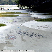 Oerend Hard 2006