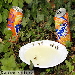 Oerend Hard 2006