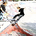 Bowlriders Amsterdam
