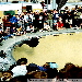 BowlBash Malmoe